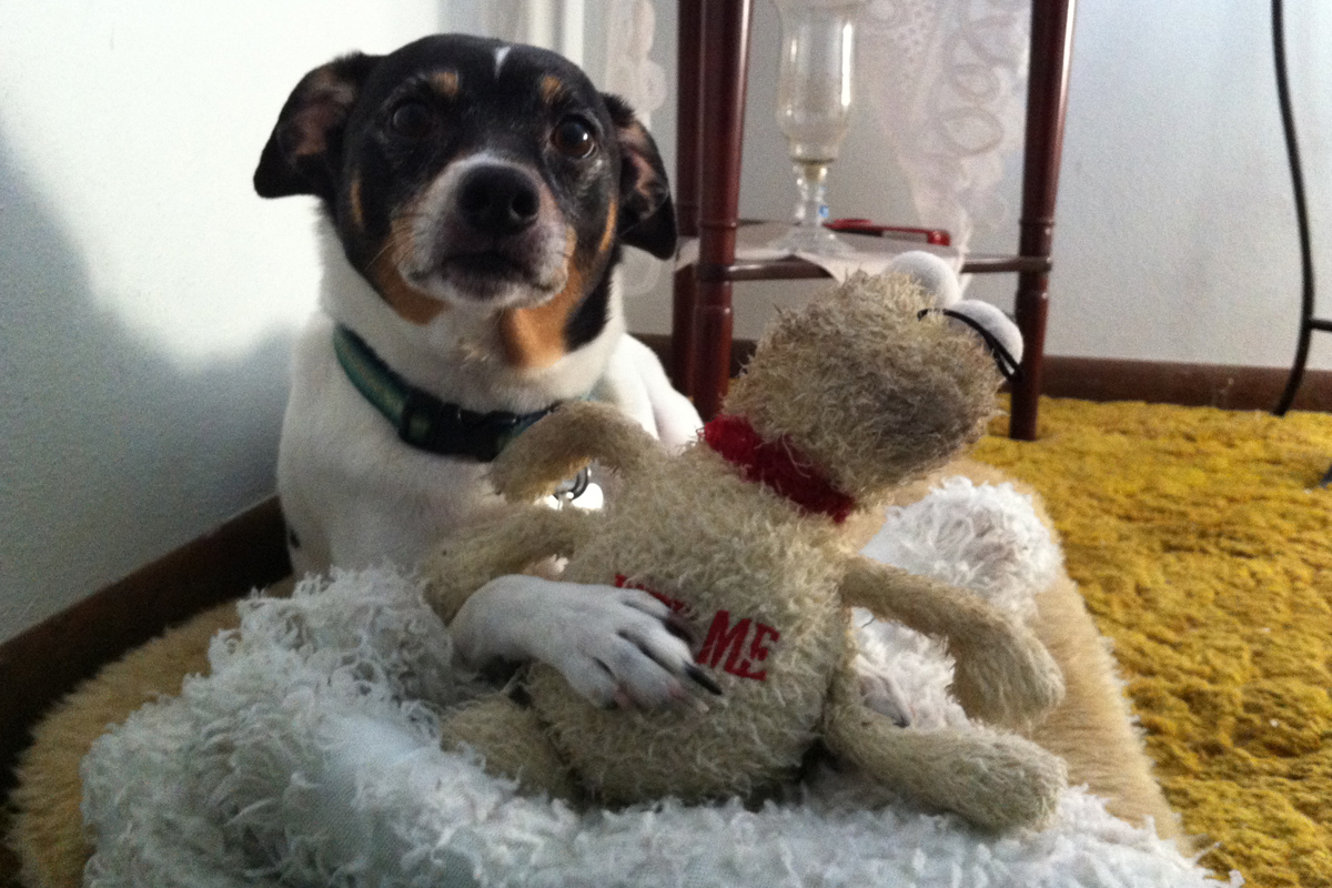 Buddy in Bed (Original)